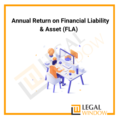 Financial Liability & Asset Annual Return