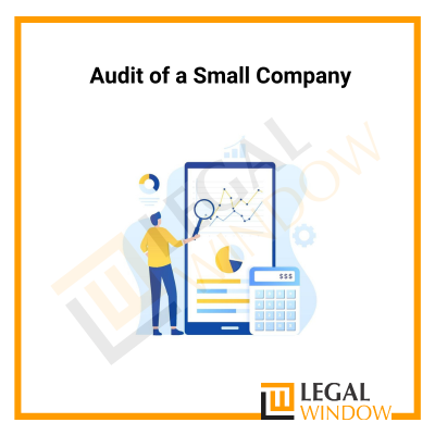 Audit of a Small Company